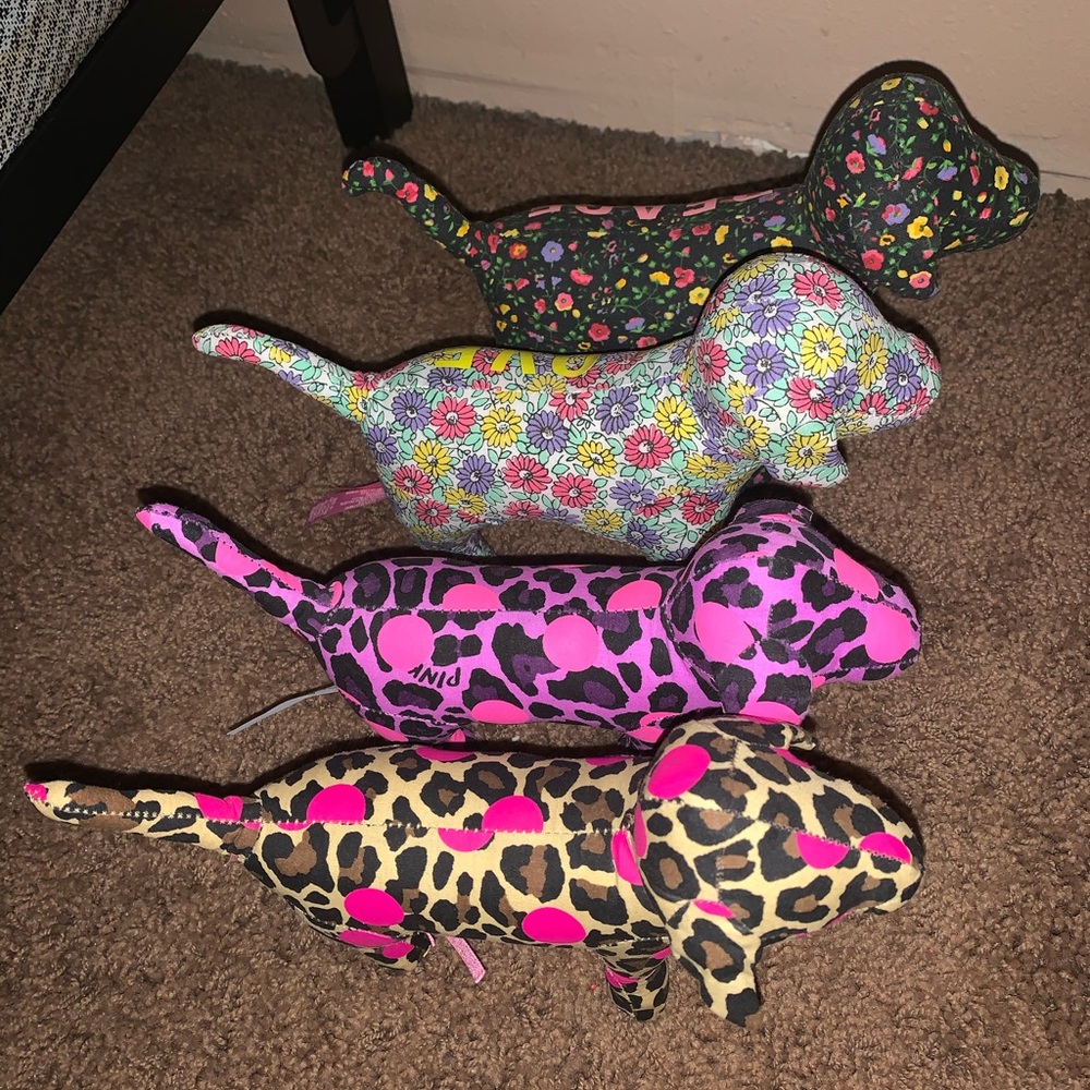 Vs pink collector dogs